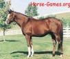play Haymaker Puzzle