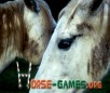 play Horse Love