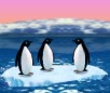 play Turbocharged Penguins
