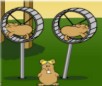 play Flight Of The Hamsters