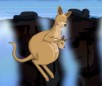 play Jumping Kangaroo Animal
