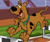 play Scooby Doo Hurdle Race