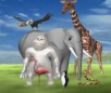 play Flamingo Drive Animal