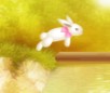 play Bunnies And Eggs