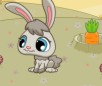 play Rabbit And Carrots