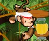 play Monkeys Drink
