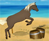 play Clemmy Beach Horse