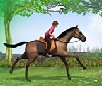 play Horse Jumping