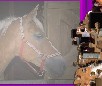 play Horse Jigsaw