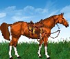 play Horse Dress Up Vol 3