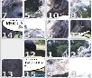 play Horse Puzzle