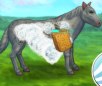 play My Brave Horse
