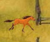 play Spirit Escape