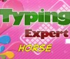 play Typing Expert Horse