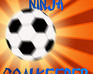 play Ninja Goalkeeper