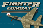 play Fighter Combat