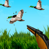 play Duck Hunter