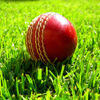 play Cricket World Jigsaw