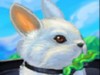 play My Rabbit