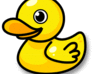 play Ducky'S Adventure