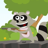 Crazy Racoon