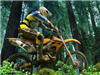 play Nuclear Motocross