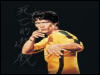 play Bruce Lee