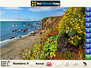 play Sunny Forest Find Numbers