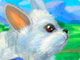 play My Rabbit