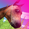 play Horse Jumping 4