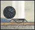 play Roller Boaster