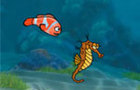 play Fish Racing