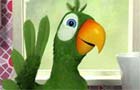 play Speak Bird