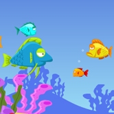 Fish Eat Fish