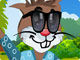 play Bunny Friend