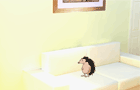 play Friendly Pets Escape