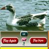 play Bird Sliding Puzzle
