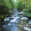 play Smoky Mountains Jigsaw