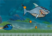 Fish Racing