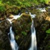 play Olympic National Park Jigsaw