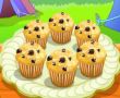 Blueberry Muffins