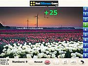 play Windflowers Find Numbers