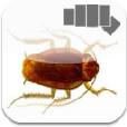 play Blattodephobia