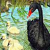 play Black Duck And Family Puzzle