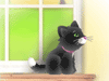 play Pet Pickup