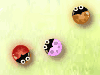 play Color Bugs