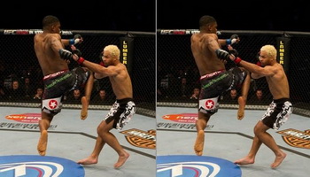 play Ufc Fighting Difference