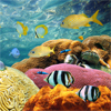 play Underwater World