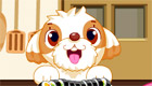 play Cooking Games : Sushi For Dogs