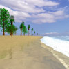 play Beach Race